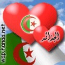 algerie16 - Hbibox