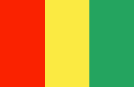 Guinea : Šalies vėliava (Puikus)