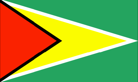 Guyana : The country's flag (Big)