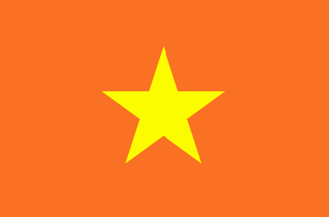 Vietnam : The country's flag (Big)