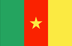 Cameroon : Negara, bendera (Purata)