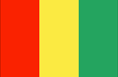 Guinea : Krajina vlajka (Priemer)