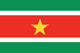 Suriname : The country's flag (Small)