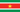 Suriname : للبلاد العلم (مصغرة)