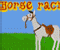 Horse Racin - Horse Racin