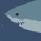 Mad Shark - Mad Shark