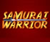 Samurai Warrior - 
