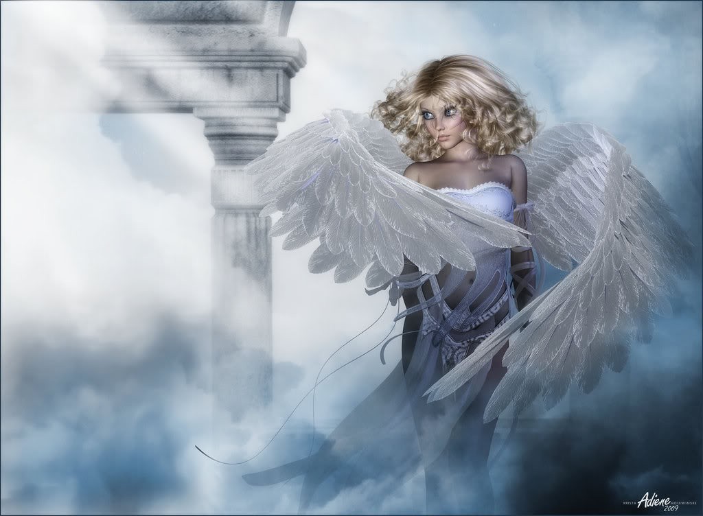 elisabeth52 : ange blanc