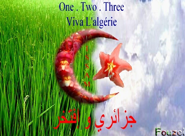 mima06 : viva l'algeri