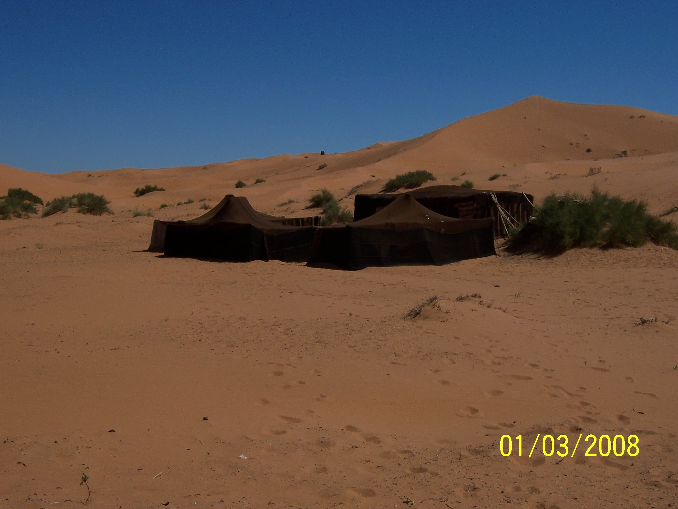 Berber tents
