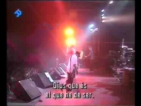 Bad Religion » Bad Religion - Portrait Of Authority (Live '96)