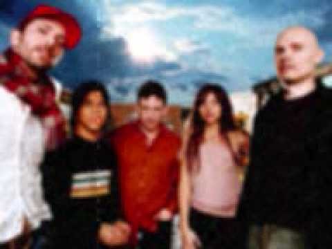 Zwan » Zwan Freedom Aint what it used to be