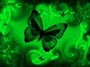 David Usher » David Usher - Butterfly