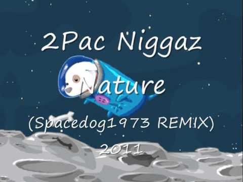 2Pac » 2Pac Tupac Niggaz Nature (Spacedog1973 REMIX) 2011