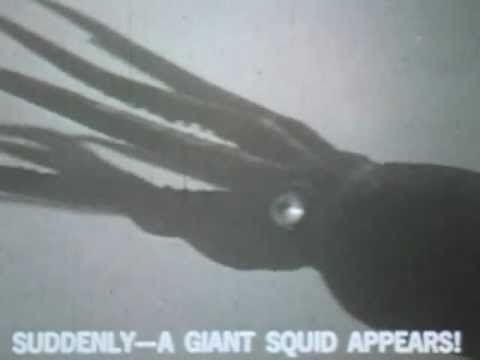 10cc » Giant Squid Soundtrack - I'm Not In Love (10cc)