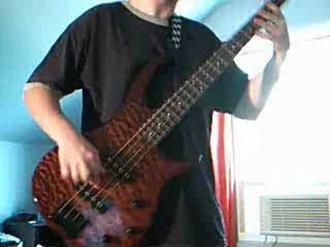 311 » 311"Unity" bass cover