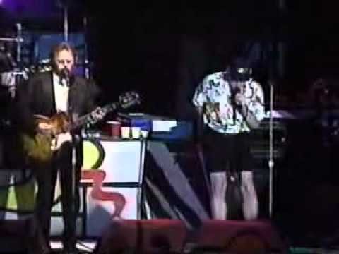 Beach Boys » The Beach Boys - Under the boardwalk live 1993