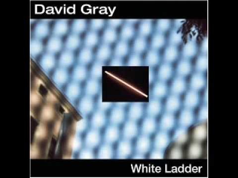 David Gray » David Gray - My oh my