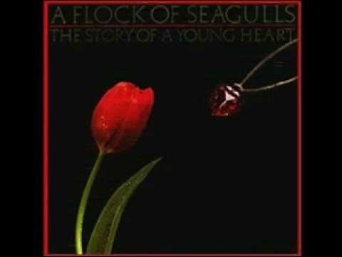 A Flock Of Seagulls » A Flock Of Seagulls -  The Story of A Young Heart