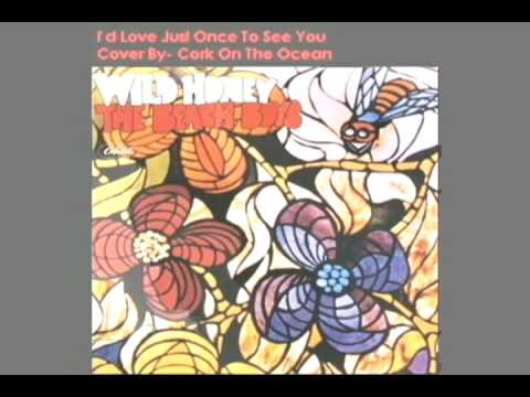 Beach Boys » I'd Love Just Once to See You - Beach Boys Cover