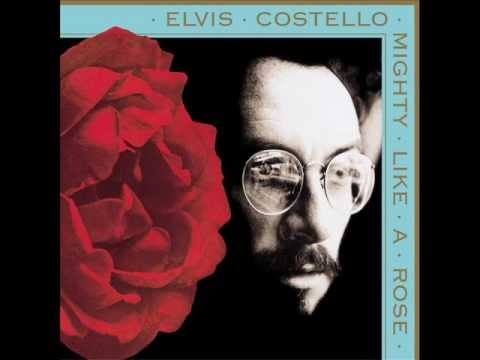 Elvis Costello » Elvis Costello - All Grown Up
