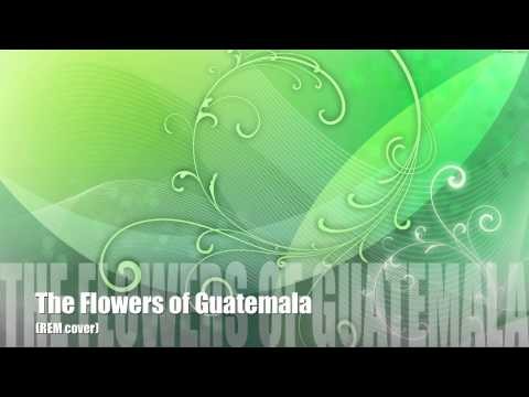 REM » The Flowers of Guatemala (REM cover)