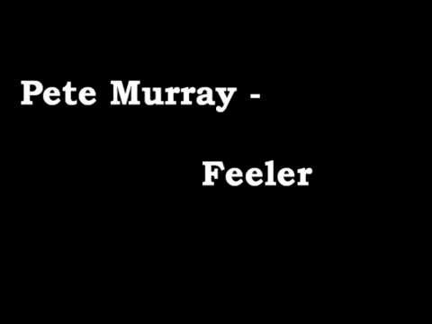 Pete Murray » Pete Murray - Feeler (with lyrics)