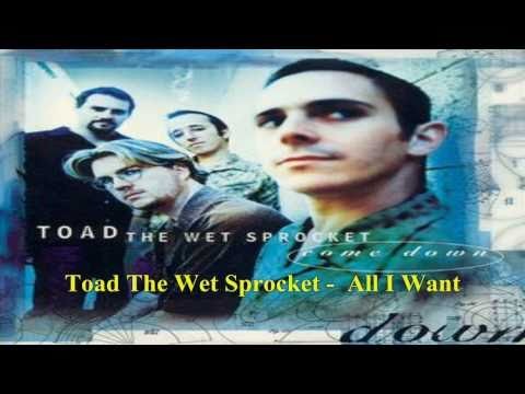 Toad The Wet Sprocket » Toad The Wet Sprocket - All I Want