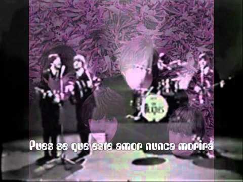 Beatles » The Beatles - Every Little Thing (Subtitulada)