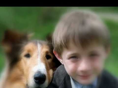Alphaville » "Lassie come home" - Alphaville