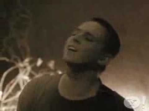 Toad The Wet Sprocket » Toad The Wet Sprocket - Hold Her Down