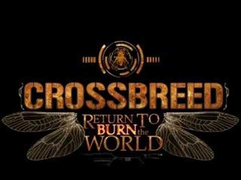 Crossbreed » Crossbreed - Release me