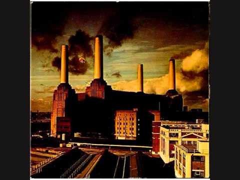 Pink Floyd » "Sheep" by Pink Floyd