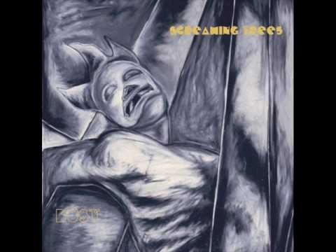 Screaming Trees » Screaming Trees - Look At You