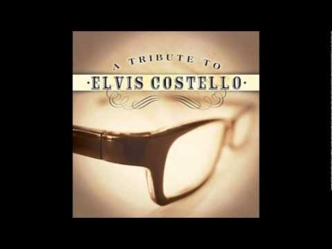 Elvis Costello » Elvis Costello - All This Useless Beauty