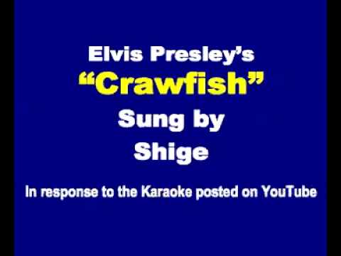 Elvis Presley » Elvis Presley's "Crawfish" sung by Shige