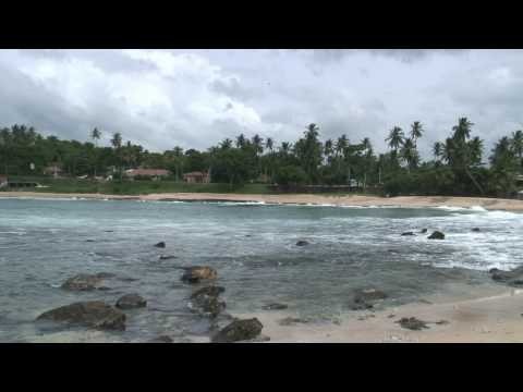 Hooverphonic » Tsunami Sri Lanka - Hooverphonic - Magenta