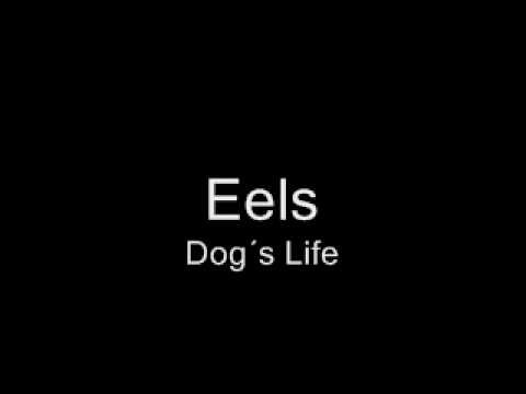 Eels » Eels - Dog`s Life