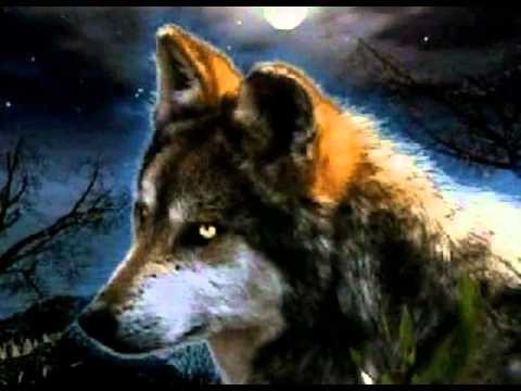 Genesis » One eyed hound - Genesis