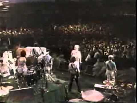 Beach Boys » The Beach Boys - Sail on sailor live 1981