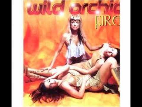 Wild Orchid » Wild Orchid - Lies
