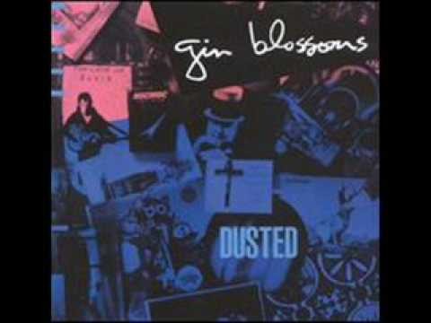Gin Blossoms » Gin Blossoms Slave Dealer's Daughter