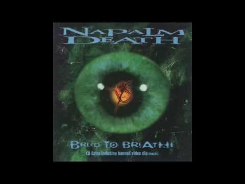 Napalm Death » Napalm Death - All Intensive Purposes