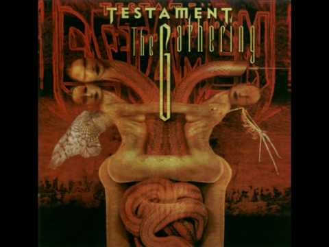 Testament » Testament - Allegiance