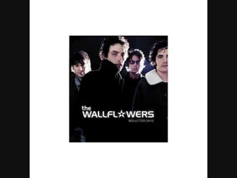 Wallflowers » The Wallflowers - Closer to You