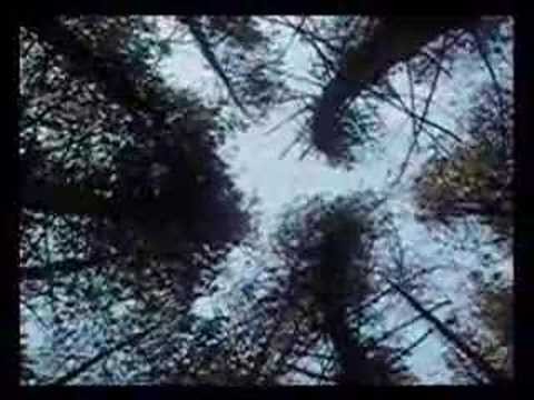 Brian Eno » Brian Eno - In Dark Trees