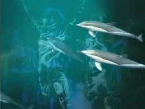 Enigma » Enigma | The Dream of The Dolphin