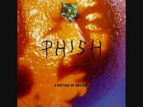 Phish » Phish~ Magilla