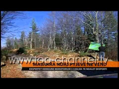 Masakra ndaj pyjeve nÃ« vend - Top Channel Albania - News - Lajme