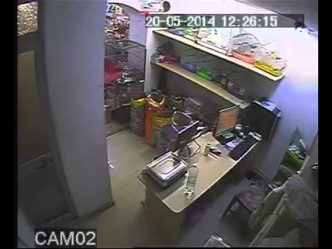 Vjedhje e kapur ne kamera ne nje dyqan kafshesh ne Tirane